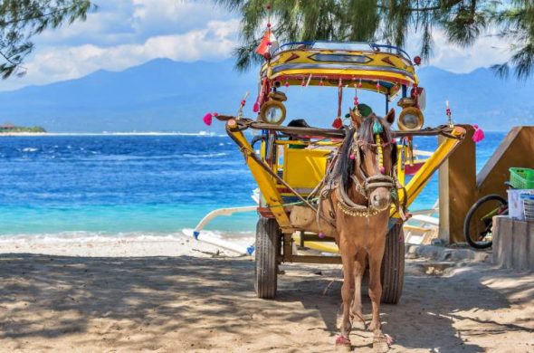 gili iland