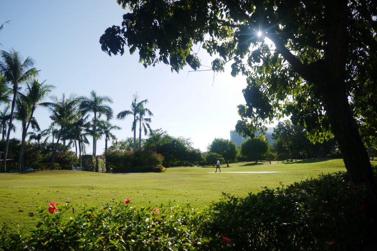 golf park2