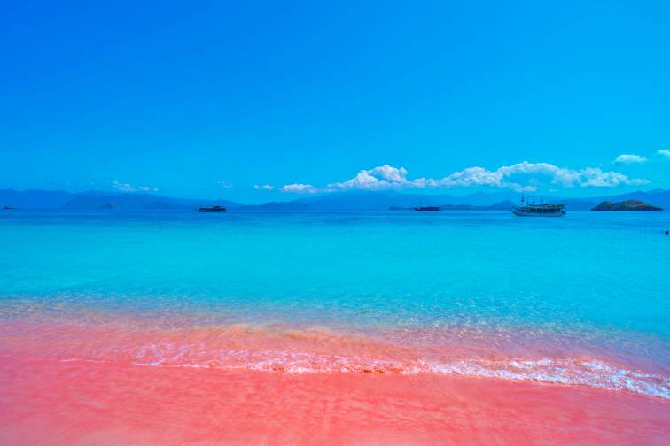 komodo pink beach2