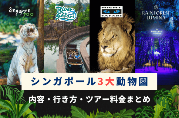 自力で行く？ツアーで行く？シンガポールの3大動物園【ナイトサファリ・リバーサファリ・シンガポール動物園】の内容・行き方・料金まとめ