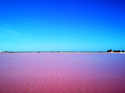 カンクン・ピンクレイク3×4