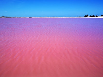 カンクン・ピンクレイク3×4