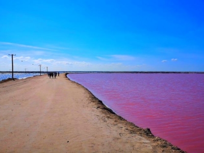 カンクン・ピンクレイク3×4