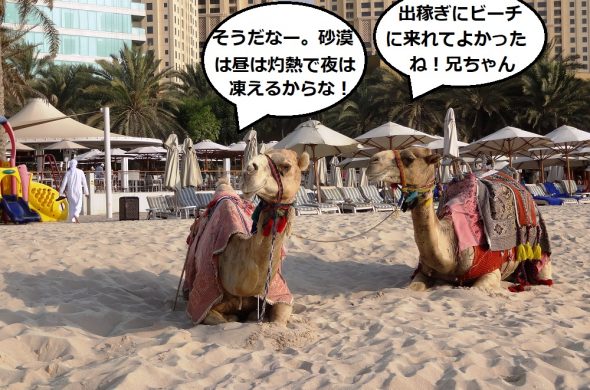 ドバイ ビーチリゾート