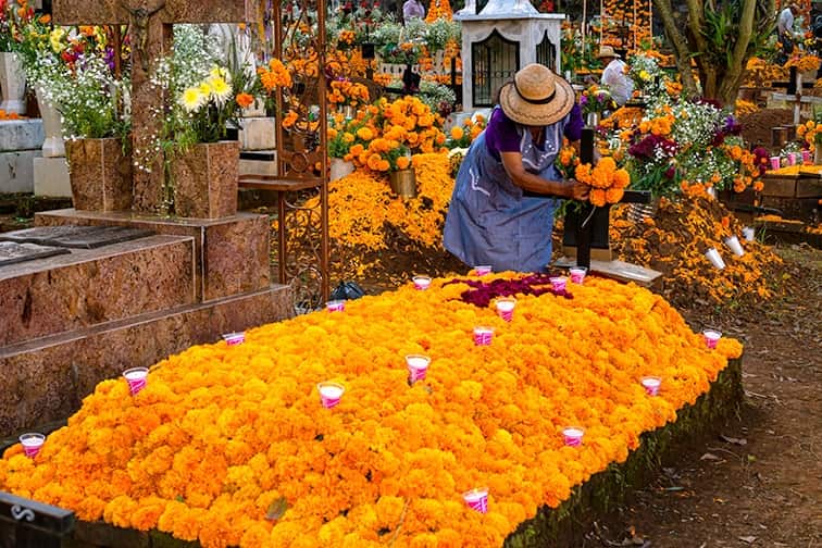 メキシコのお祭り 死者の日 体験ツアー 年10月31 11月1日 日本各発 トラベルスタンダードジャパン