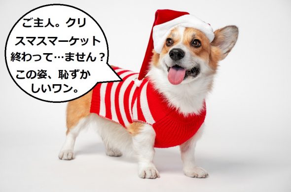 ニュルンベルク クリスマスマーケット