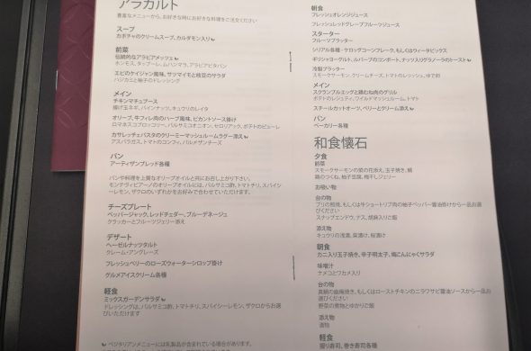 カタール航空 搭乗記