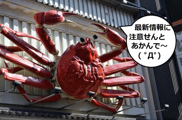 Gotoキャンペーン続報