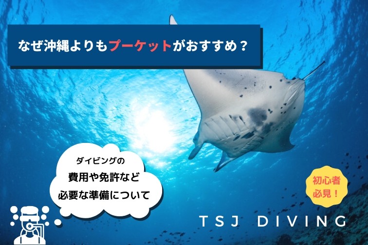 【TSJダイビング】なぜ沖縄よりもプーケットがおすすめ？【初心者必見！】気になる費用や免許など必要な準備について