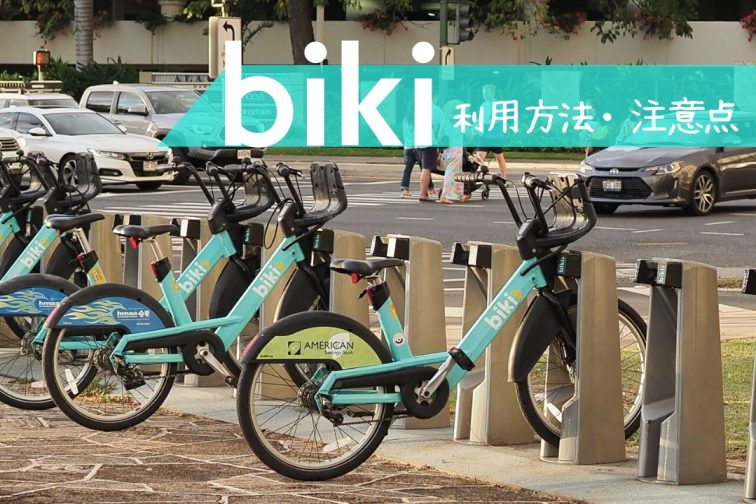 hawaii biki top banner