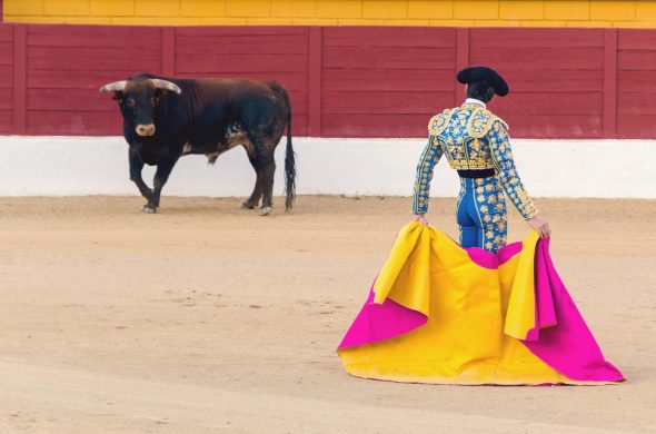 スペイン いつ行ける？