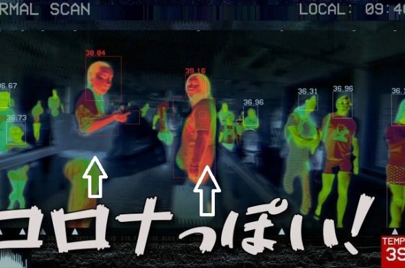 入国制限解除 ポルトガル