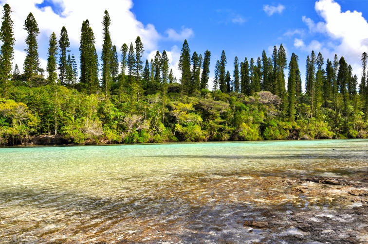 Piscine Naturelle-© S. Robert NCTPS(2)