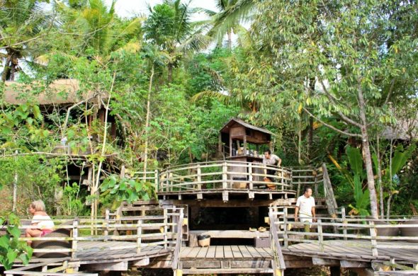 Bali pulina