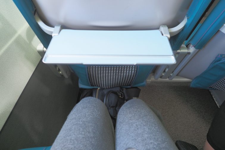 hawaiian airplane seat