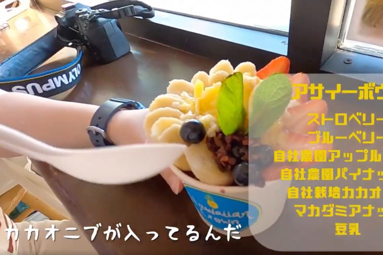 acaibowl2 in hawaii