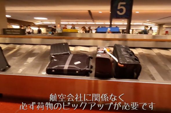 honolulu baggage lane pickuup