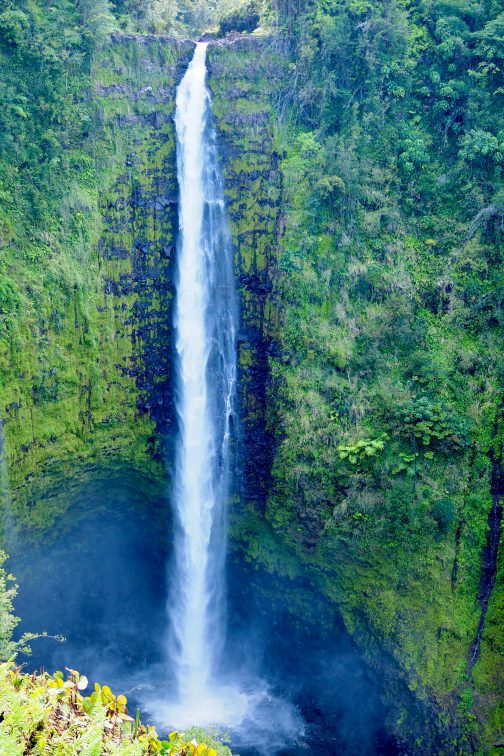 Akaka falls 荘厳な風景 ハワイ Hawaii
