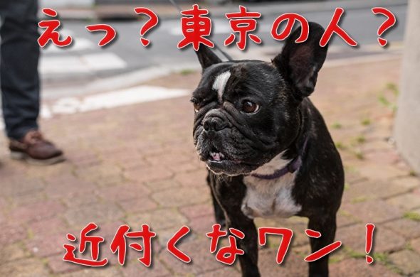 GoToトラベルキャンペーン東京予約開始