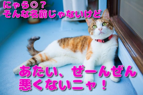 GoToトラベル 元通り