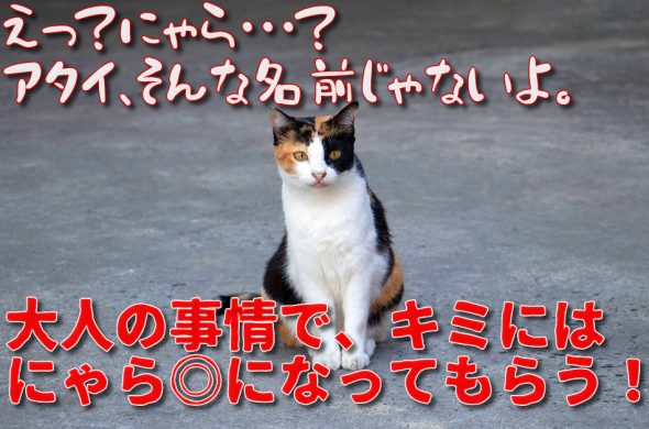 GoToトラベルキャンペーン　販売終了