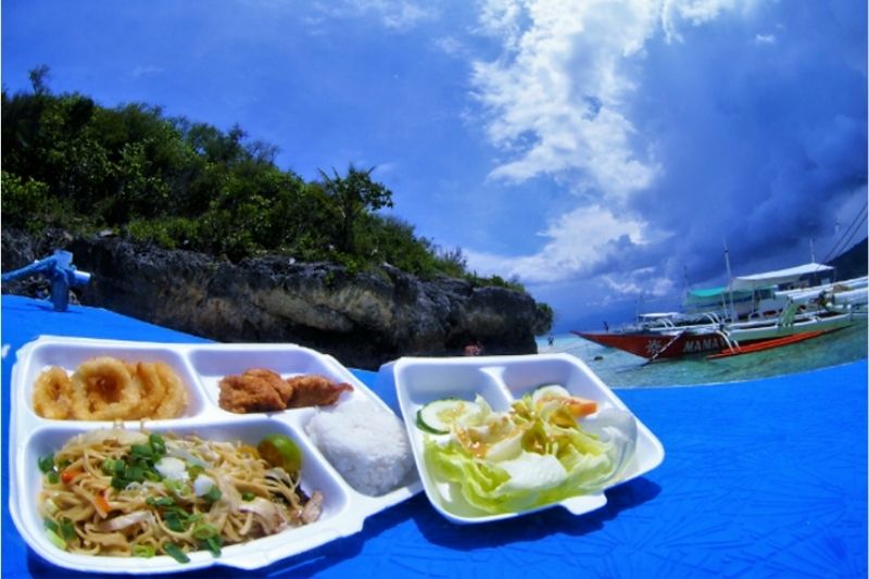 lunch whale watching cebu philippines