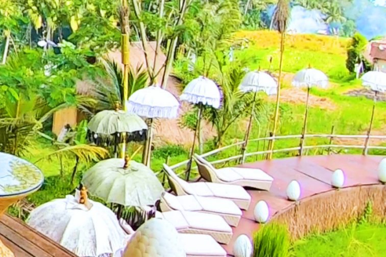 デイベッドサムネ　アカーシャレストラン.00_00_00_00.静止画006