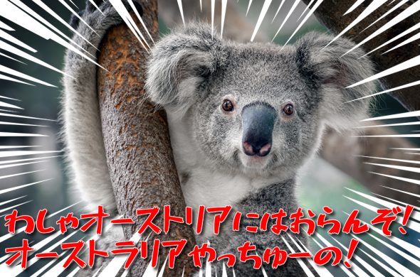 オーストリア いつ行ける