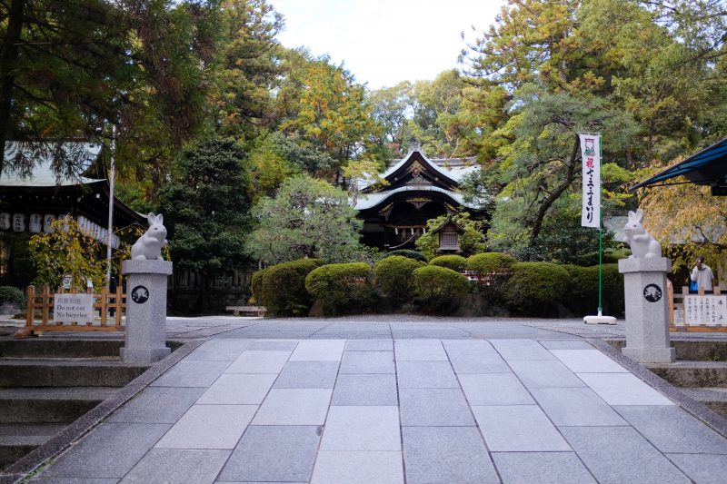 Okazaki shrine rabbit