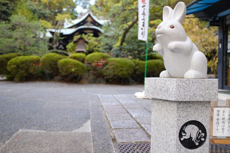 Okazaki shrine rabbit