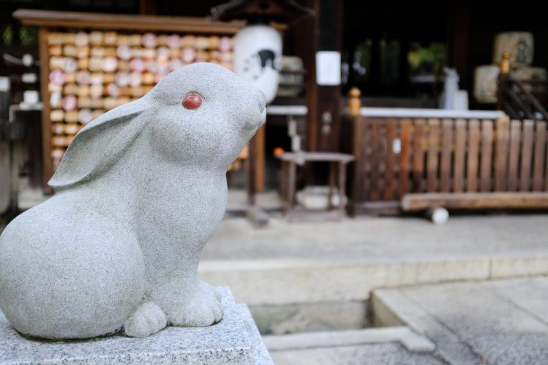 Okazaki shrine rabbit