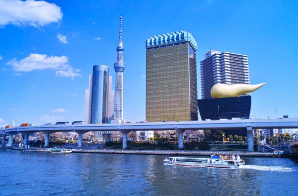 東京 お花見人気ランキング 隅田川