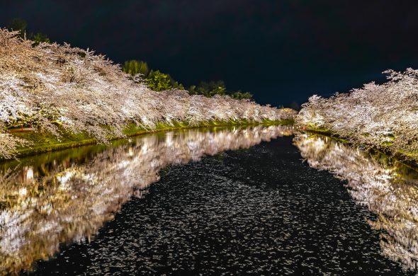お花見2021 桜名所 コロナ 弘前公園