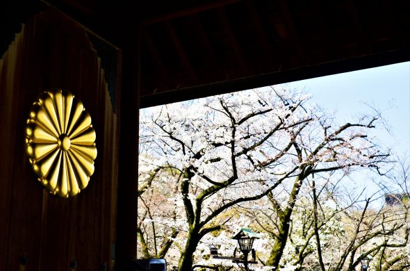 東京 お花見 2021 靖国神社