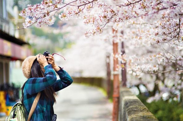 東京 お花見 桜 名所