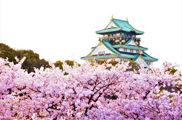 お花見2021 桜名所 コロナ 大阪城