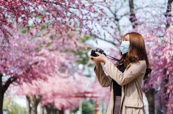 お花見2021 桜名所 コロナ 開花予想