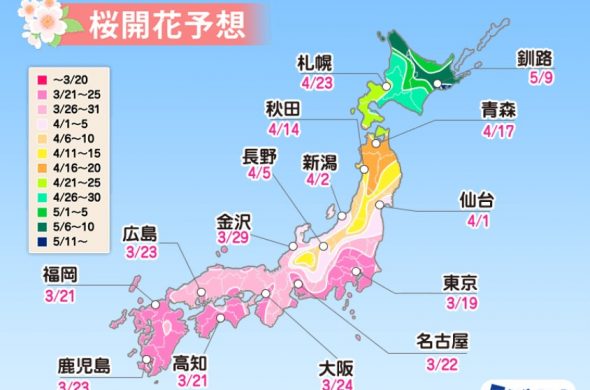 お花見2021 桜名所 コロナ 開花予想