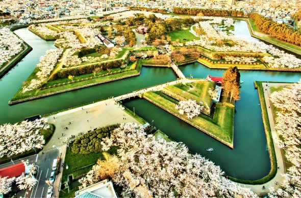 お花見2021 桜名所 コロナ 五稜郭