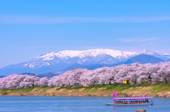 白石川堤一目千本桜
