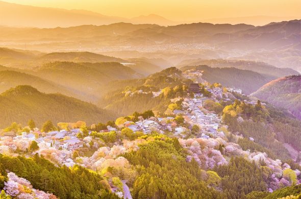 お花見2021 吉野山