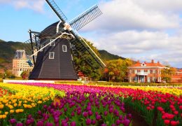 世界遺産 軍艦島 の絶景が見られる 長崎 野母崎のグルメスポット7選 トラベルスタンダードジャパン