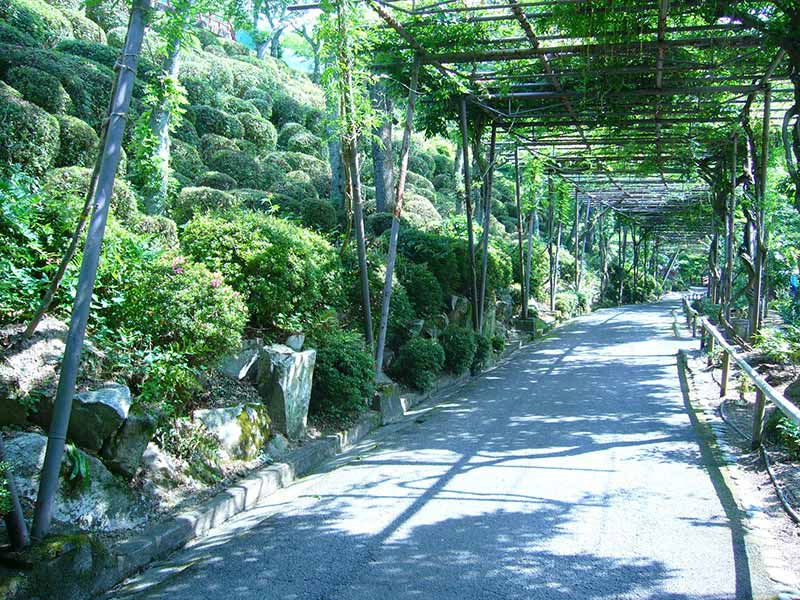 散策道｜奥道後 壱湯の守