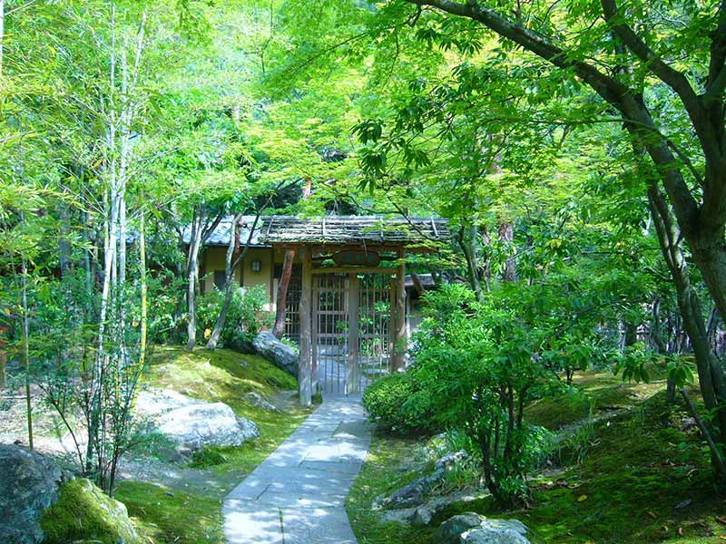 ◇三軒茶家◇日本庭園にある梅の古木のもと、葵のご紋入り石灯籠が 足元を優しく照す夜の雰囲気もまた格別です｜奥道後 壱湯の守