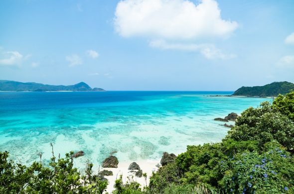 奄美大島 世界遺産