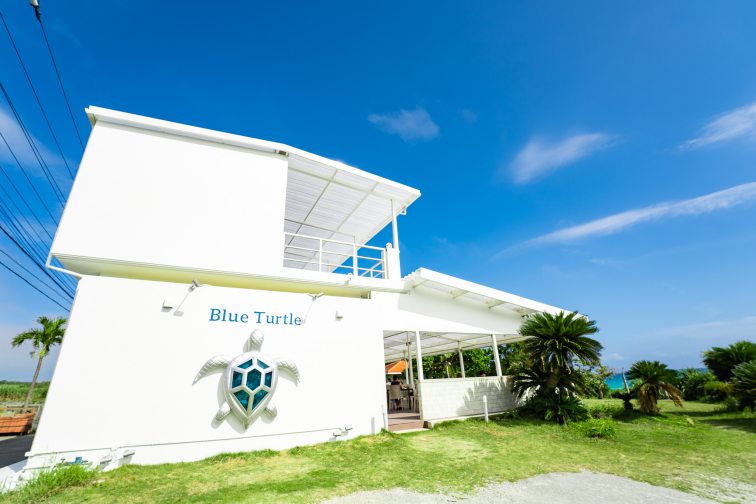 ブルータートル