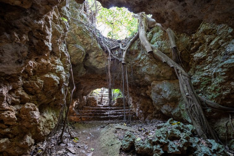 ハッピー防空壕