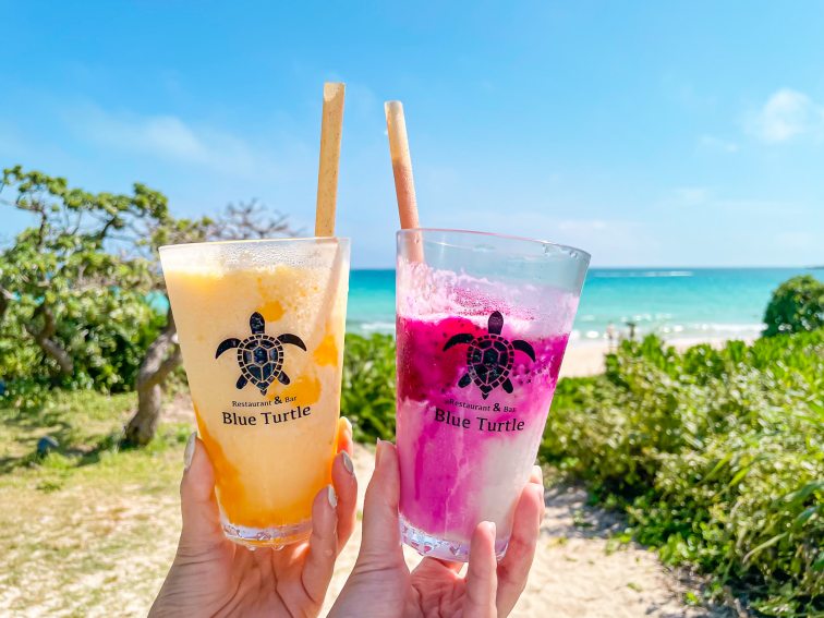 ブルータートル