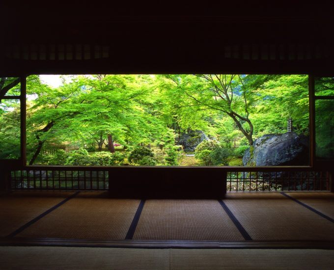宝厳院から新緑を楽しむ