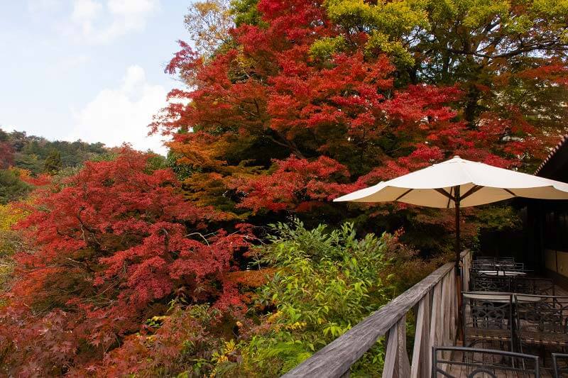 紅葉の季節は絶景を拝める